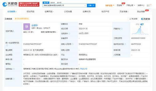文都教育海南布局新篇章 成立教育科技公司，加码网络文化经营
